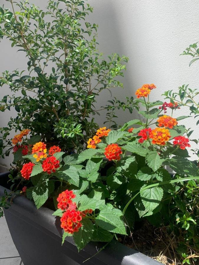 Salentop Apartment Lecce